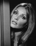 Sharon Tate